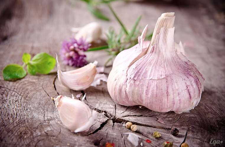 Aglio