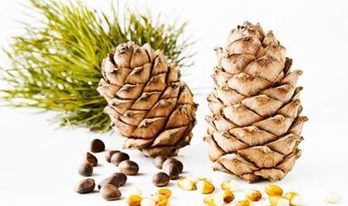 Noci di cedro per rimuovere i parassiti dal corpo